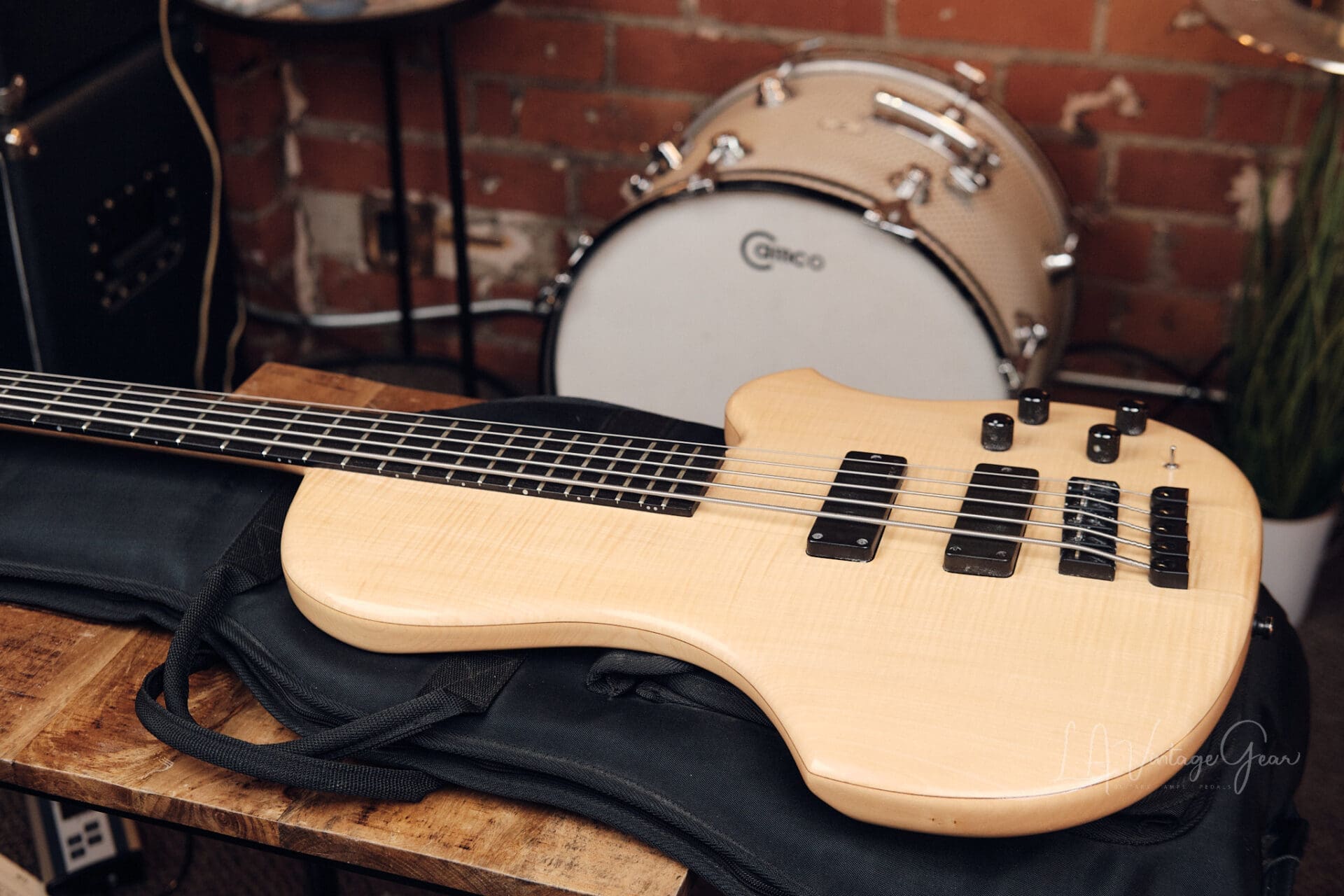 Human Base ClassX 5 String Bass - Awesome Single Cut! - Image 12