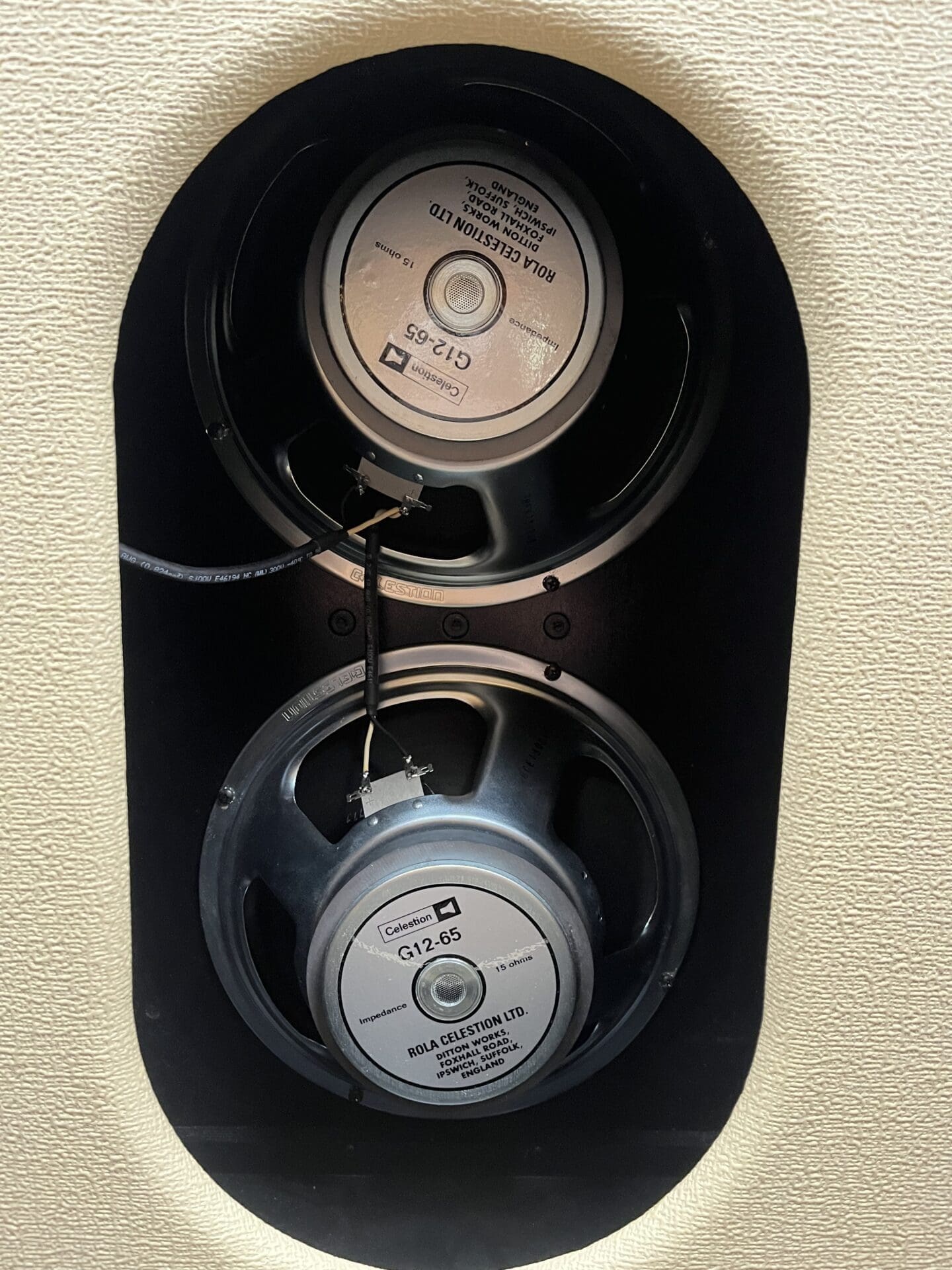 Two Rock TS 1 100 Watt Head and 2x12 Vertical Cabinet - Blonde & Oxblood! - Image 11