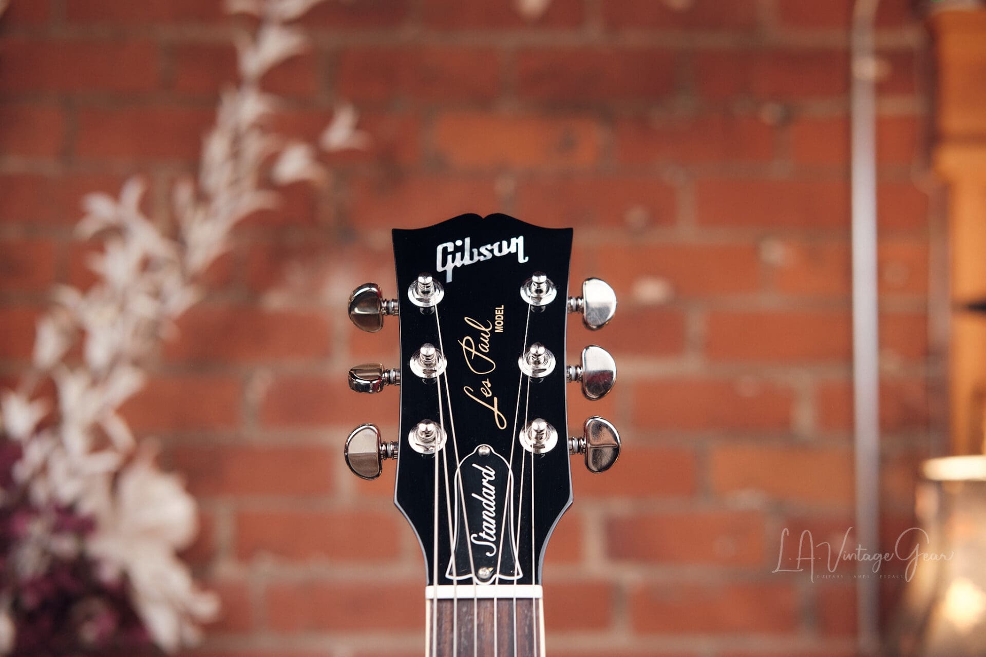 2024 Gibson Les Paul Standard '60s - Iced Tea Burst! - Image 5