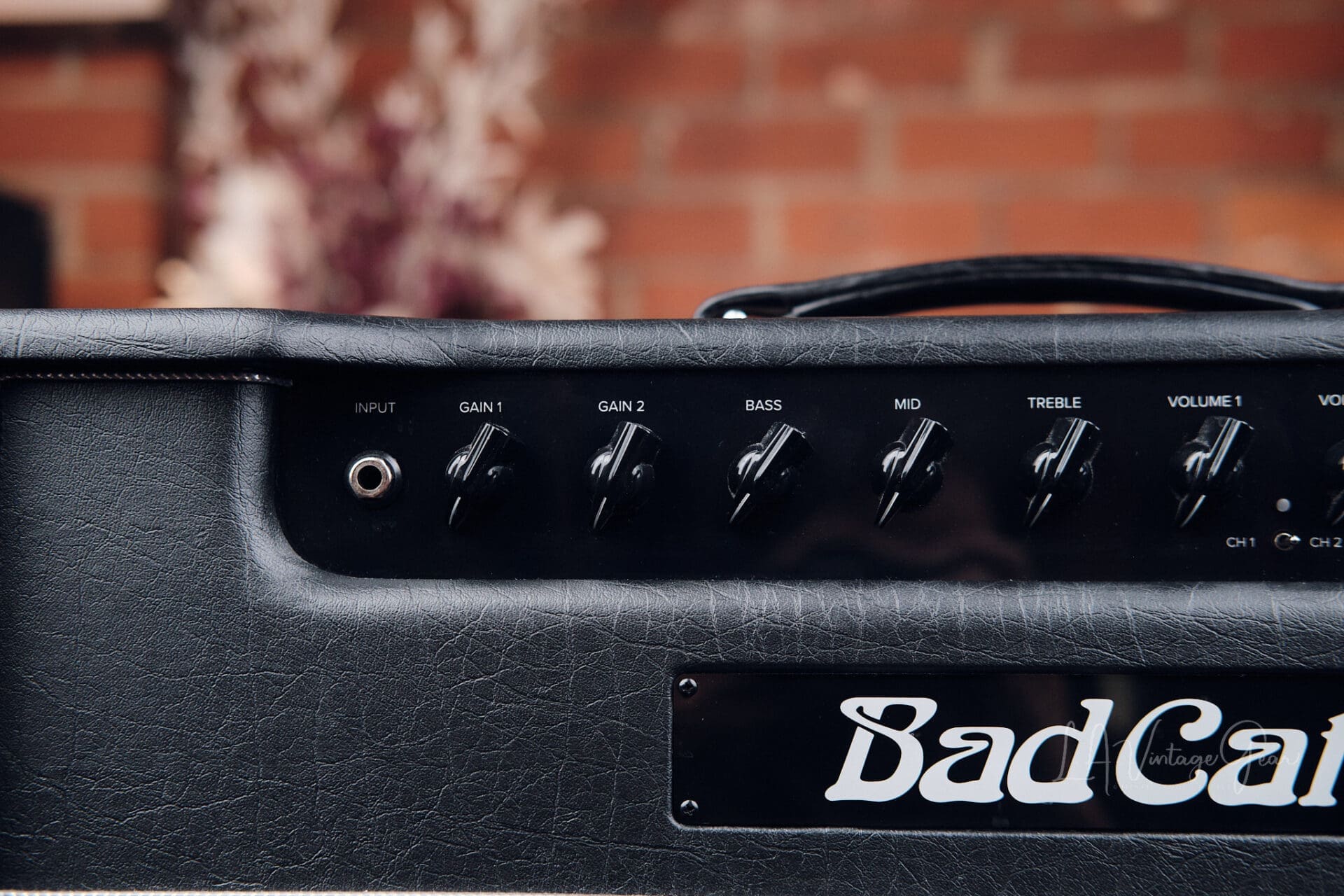 Bad Cat Hot Cat 45 Watt 1x12 Combo Amplifier - With Reverb & Effects Loop! - Image 4