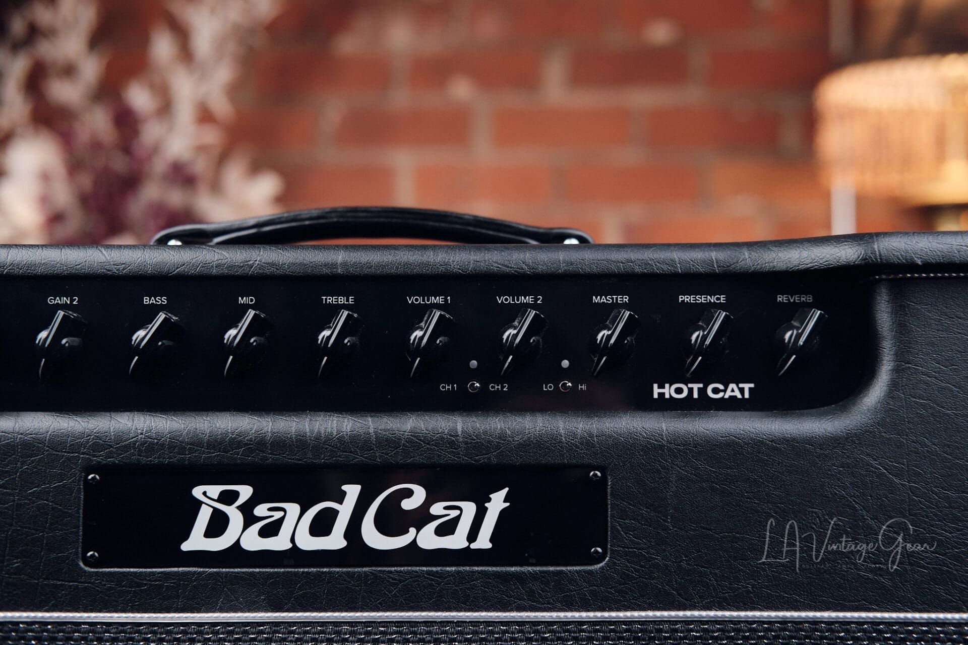 Bad Cat Hot Cat 45 Watt 1x12 Combo Amplifier - With Reverb & Effects Loop! - Image 5