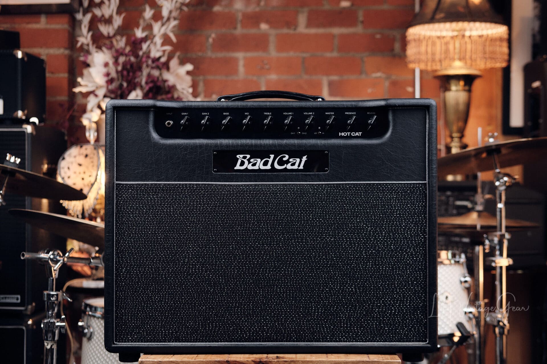 Bad Cat Hot Cat 45 Watt 1x12 Combo Amplifier - With Reverb & Effects Loop!