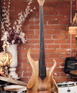 Eccles 4 String Fretless Bass - Unique Fretless Bass!